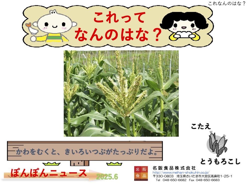 ぱくぱくだより